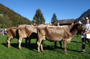 k-4Schneuter mittlere